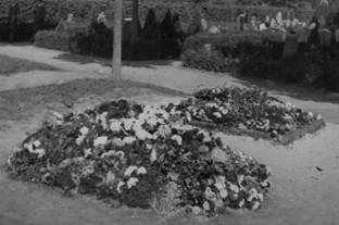 PHOTO RAF Grave Site 5 in Denmark