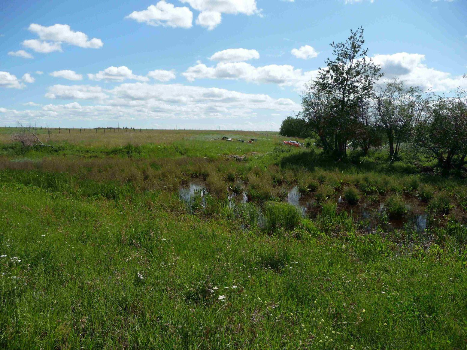 Water Dugout found adjacent to Hubert Brooks (later Otto Brooks) Homestead